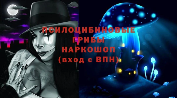 ECSTASY Алзамай