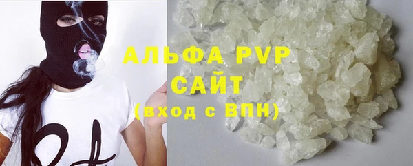прущие грибы Абдулино