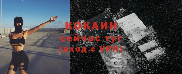 ECSTASY Алзамай