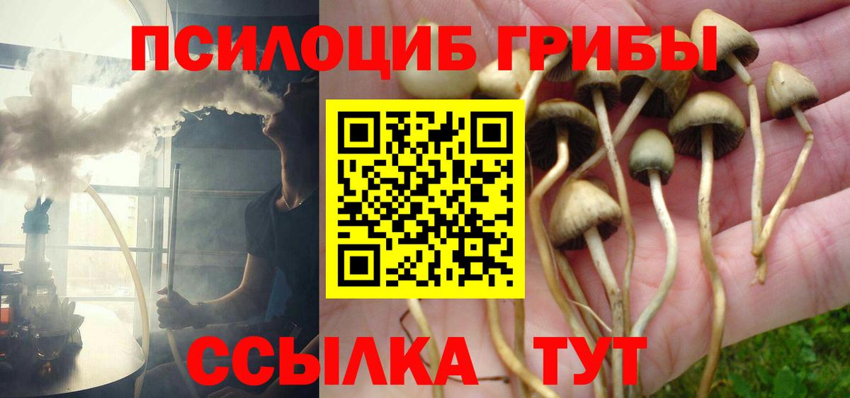 Псилоцибиновые грибы прущие грибы Северодвинск