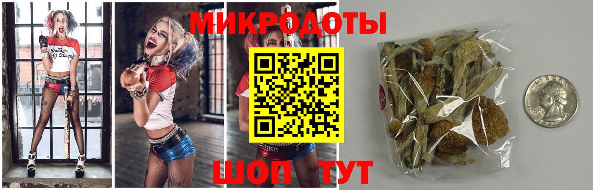 Галлюциногенные грибы мухоморы  где можно купить наркотик  Северодвинск  Вход с VPN 